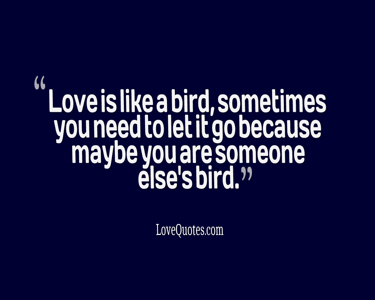 Love Is Like A Bird