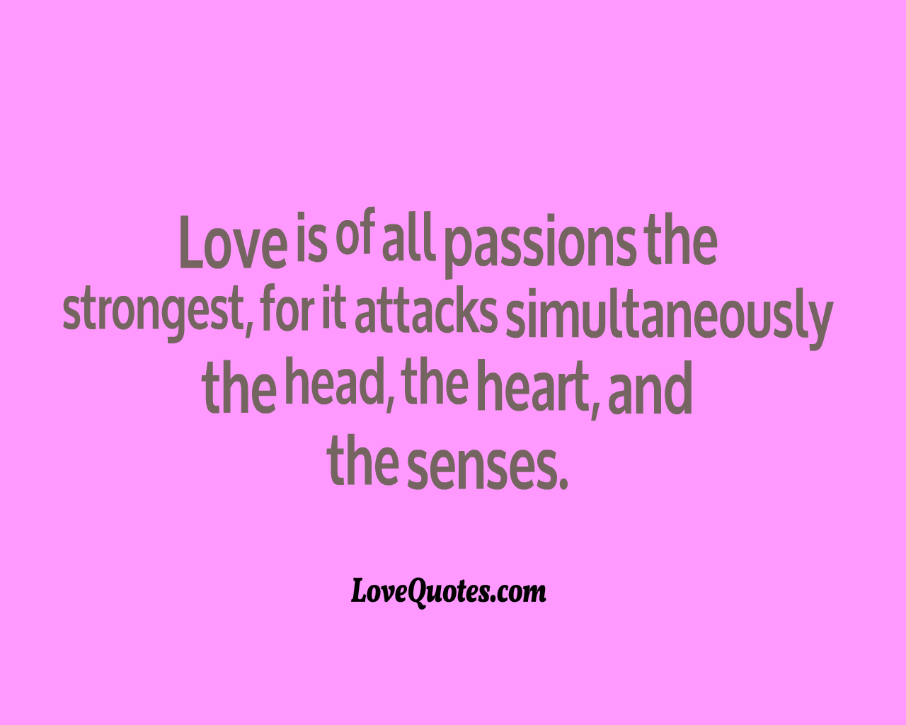 Love Is The Strongest Passion