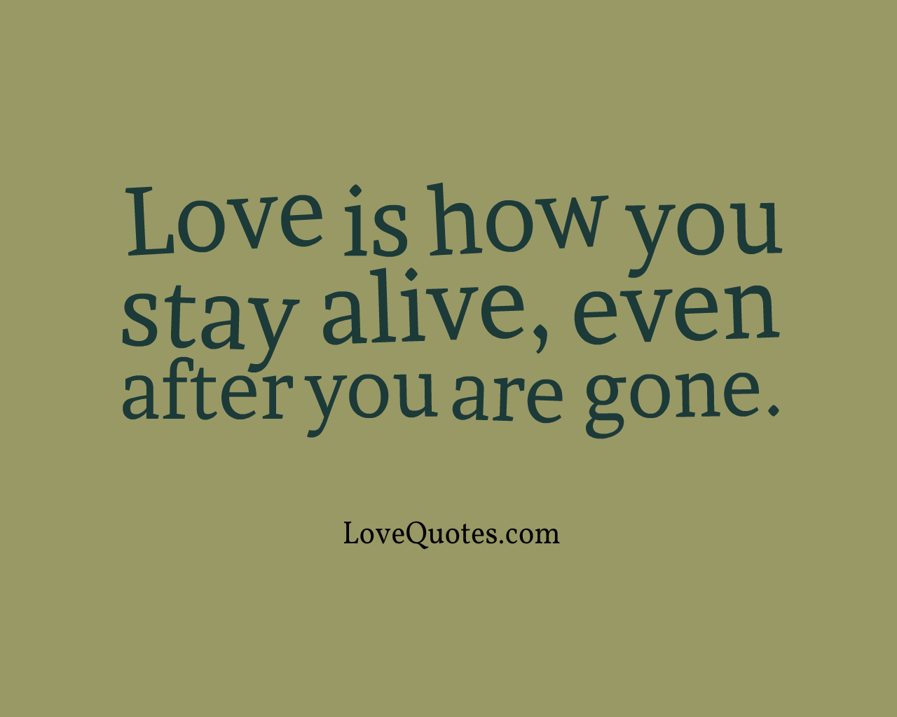 Love Is How You Stay Alive