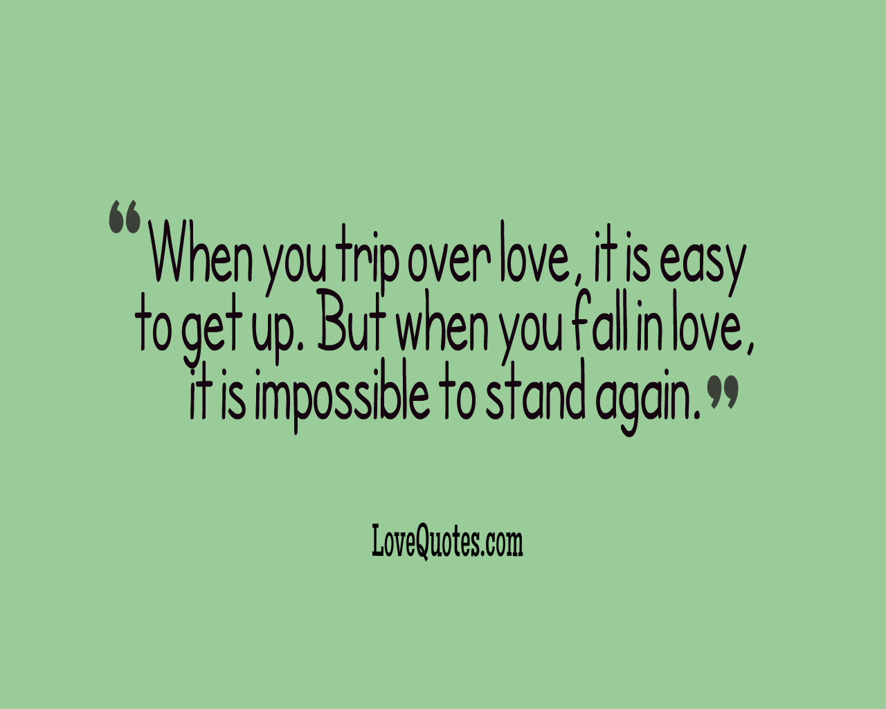 Trip Over Love