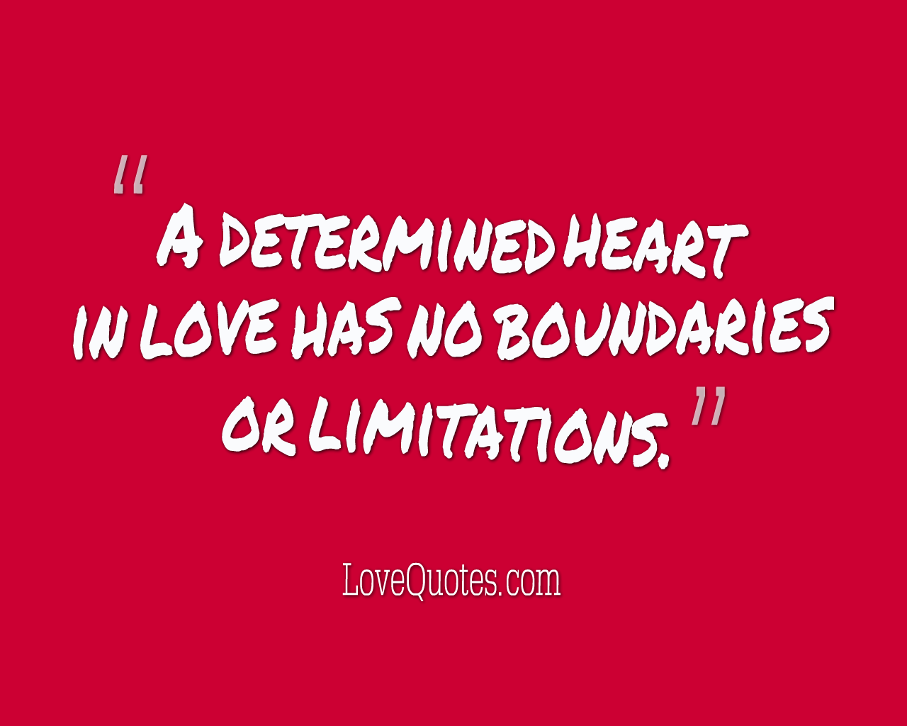 A Determined Heart In Love