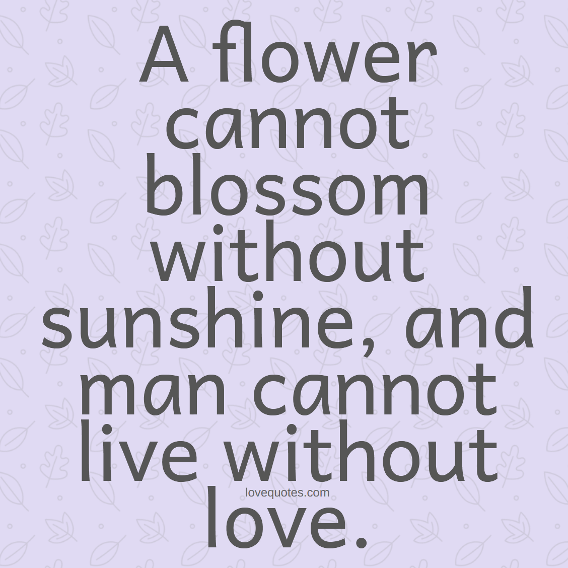 A Flower Cannot Blossom