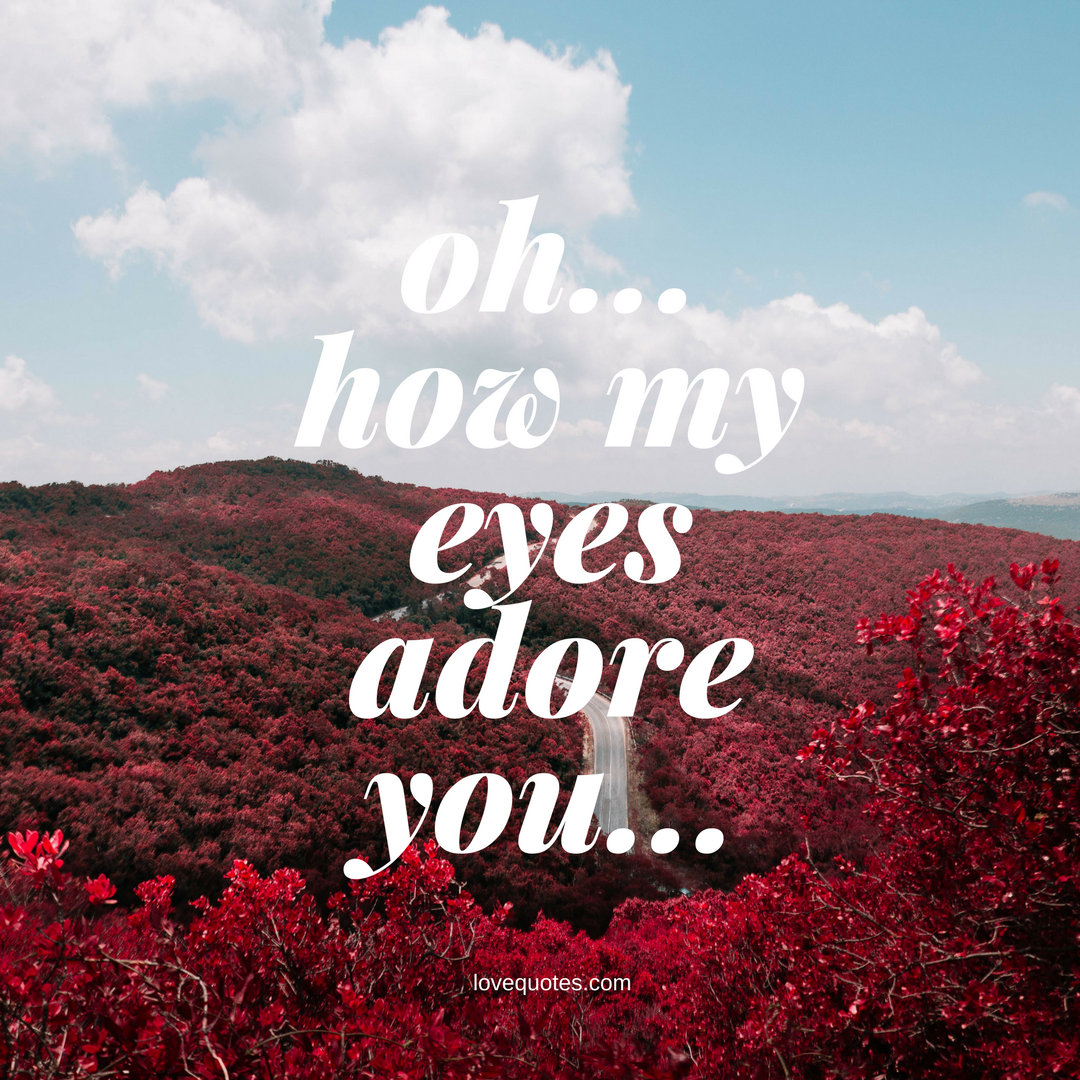 My Eyes Adore You