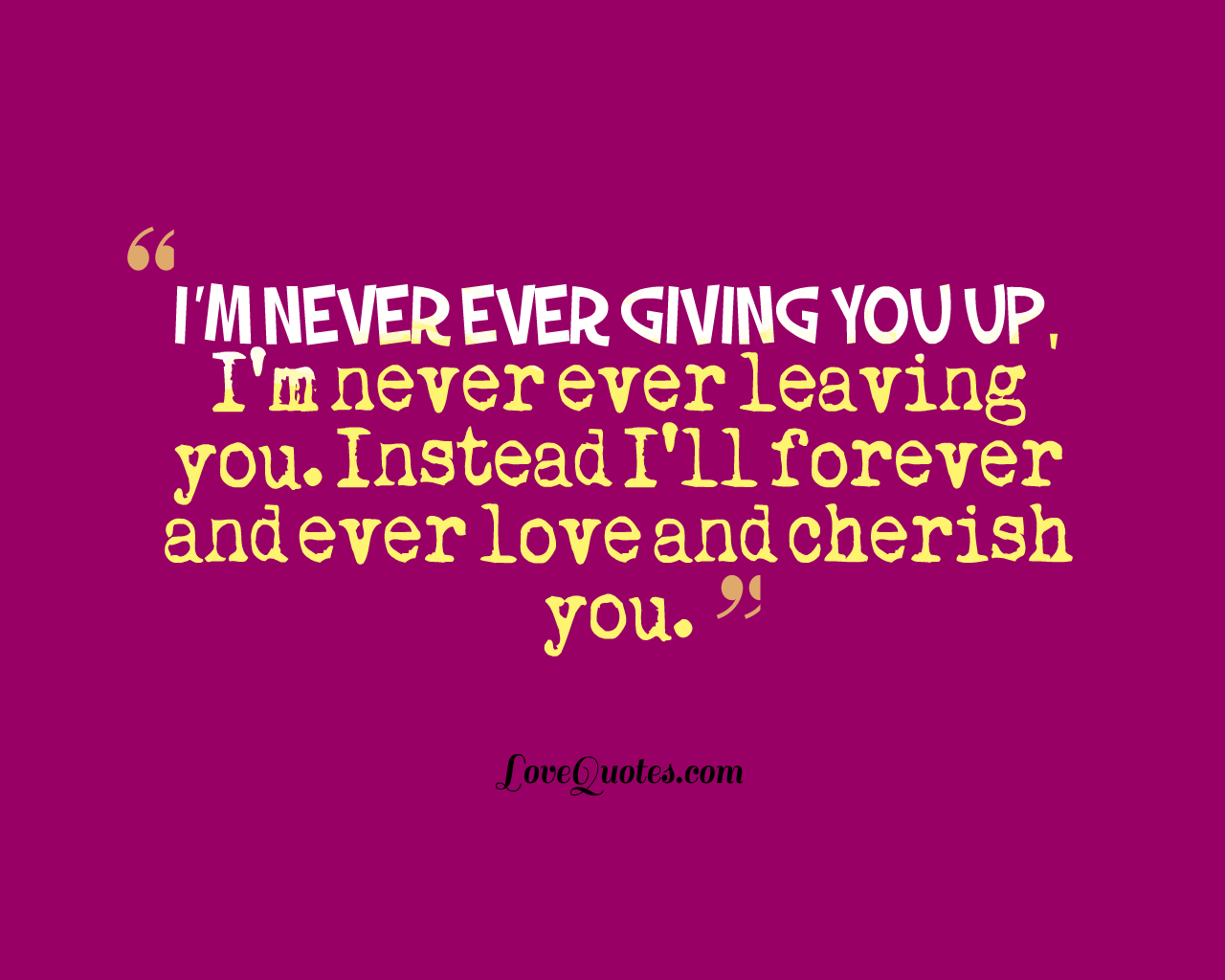 Never Giving You Up