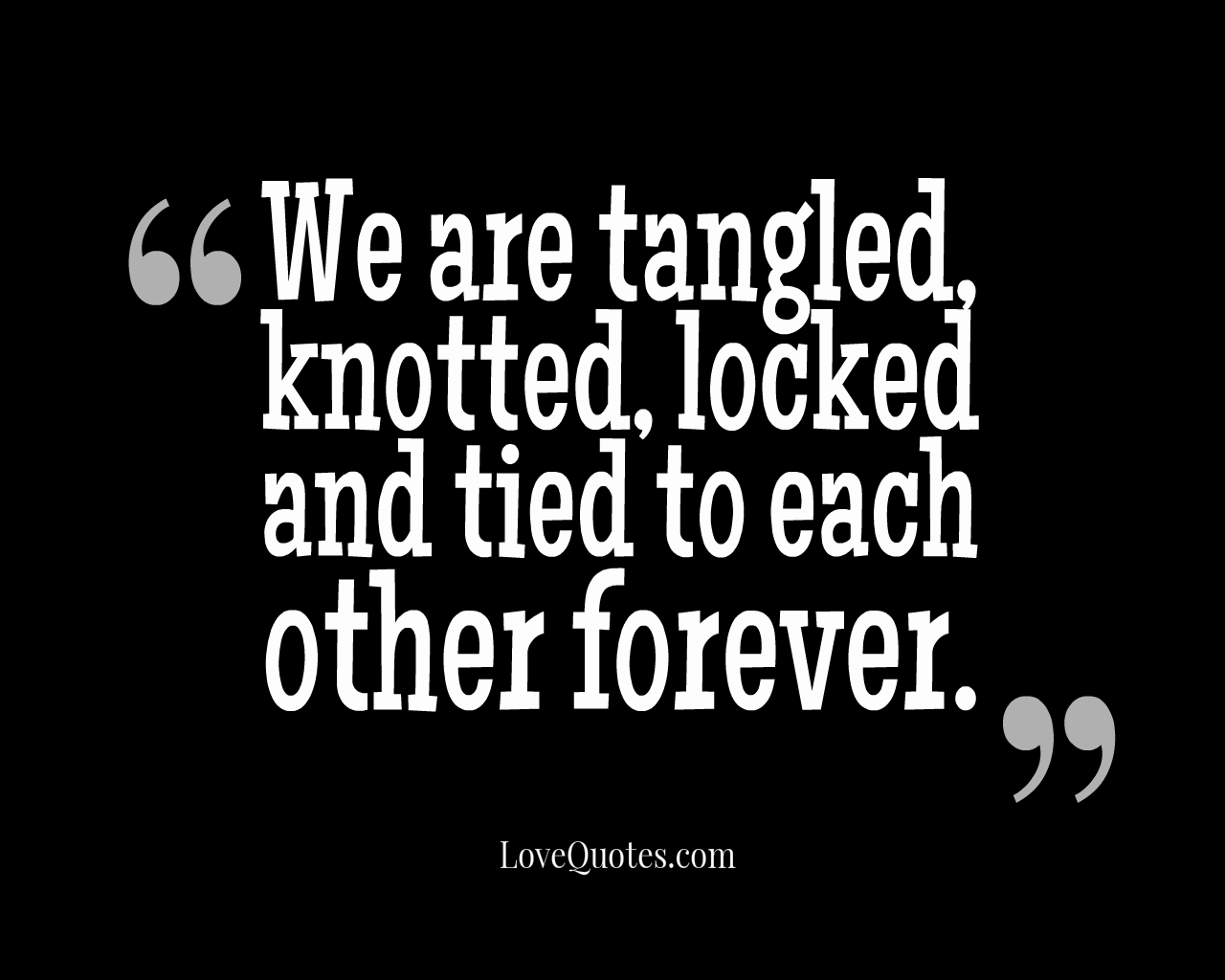 We Are Tangled