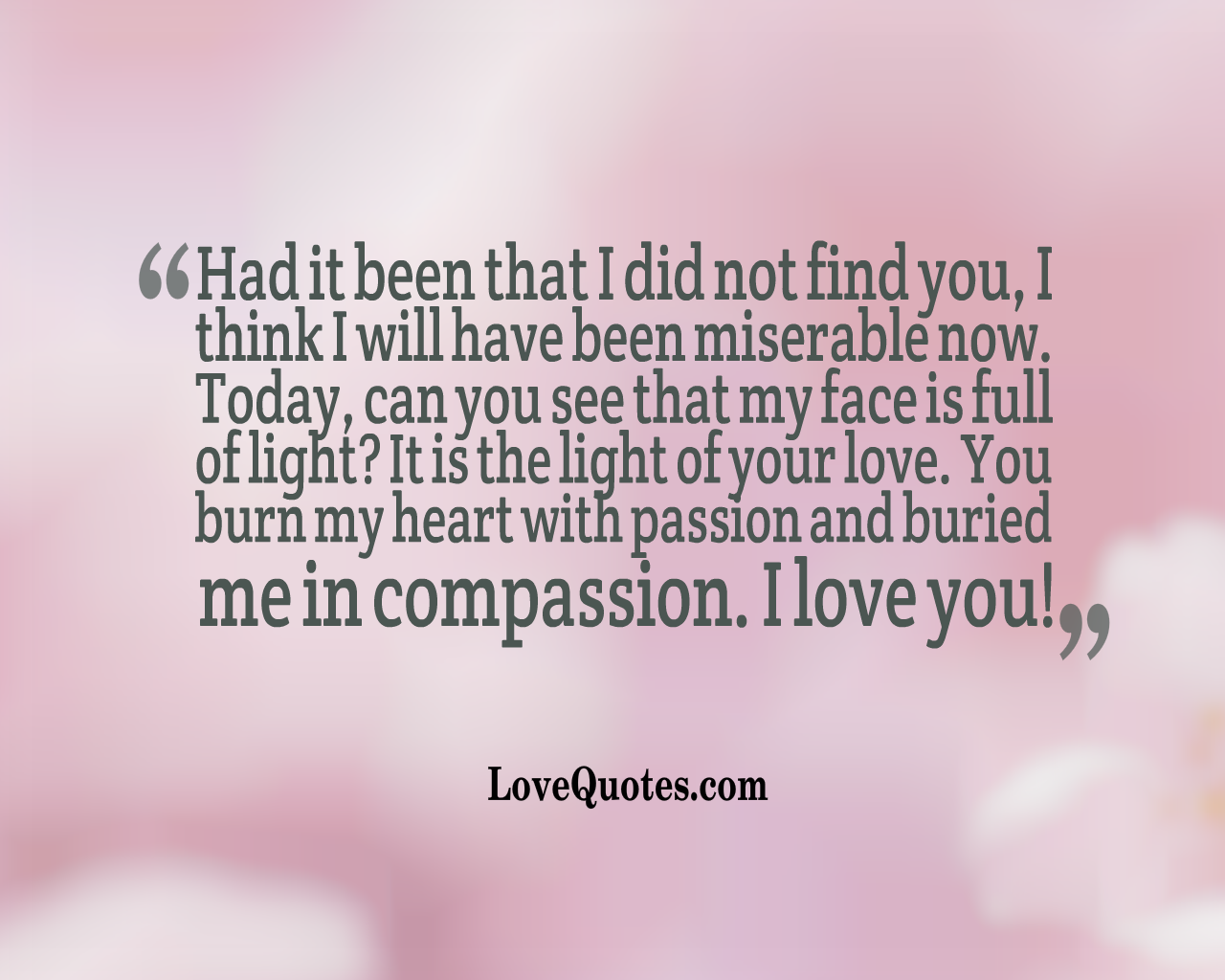 The Light Of Your Love