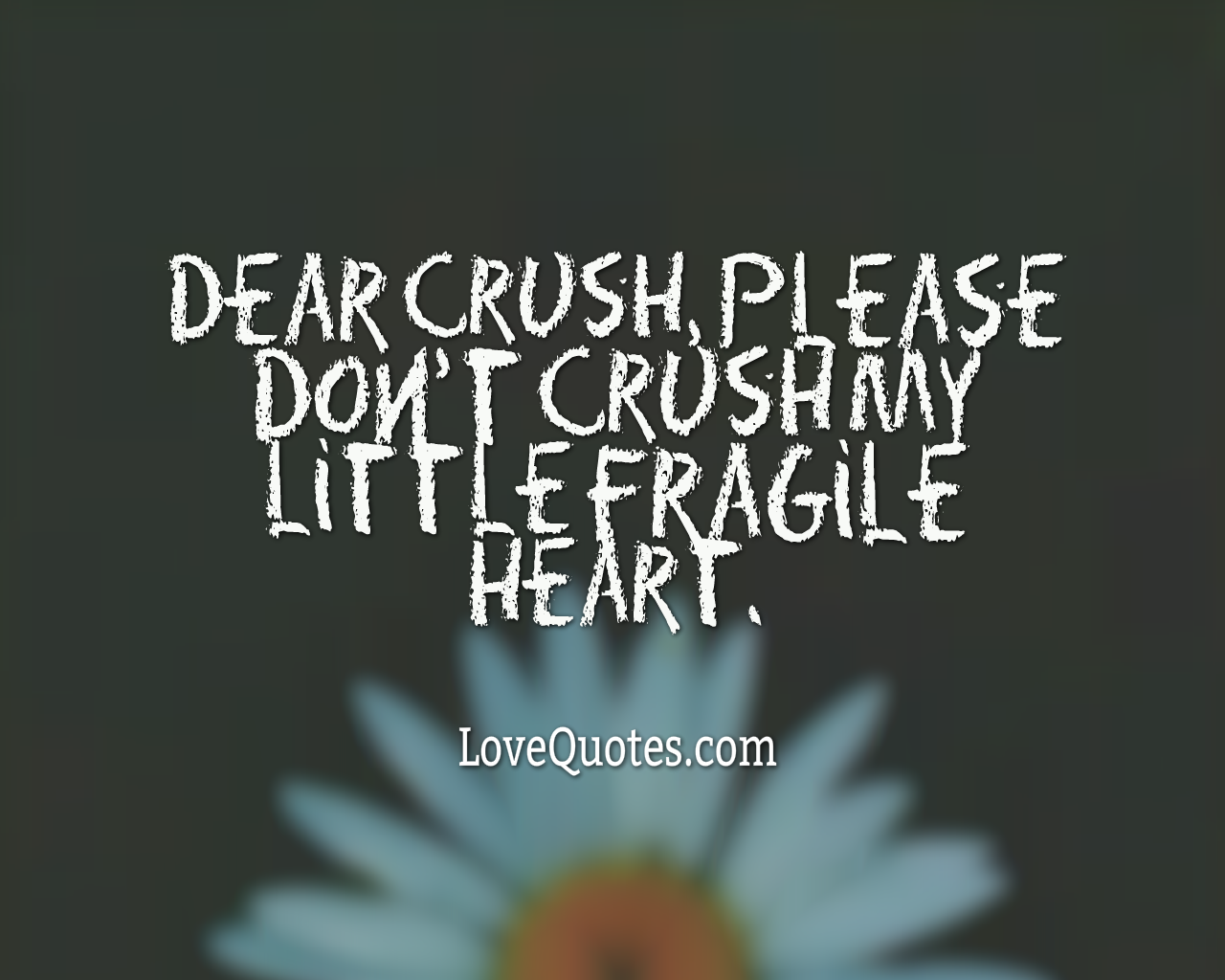 My Fragile Heart