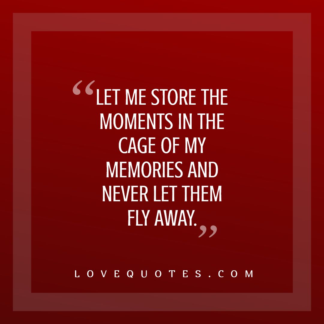 Store The Moments
